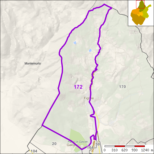 Perimetro della sezione 172